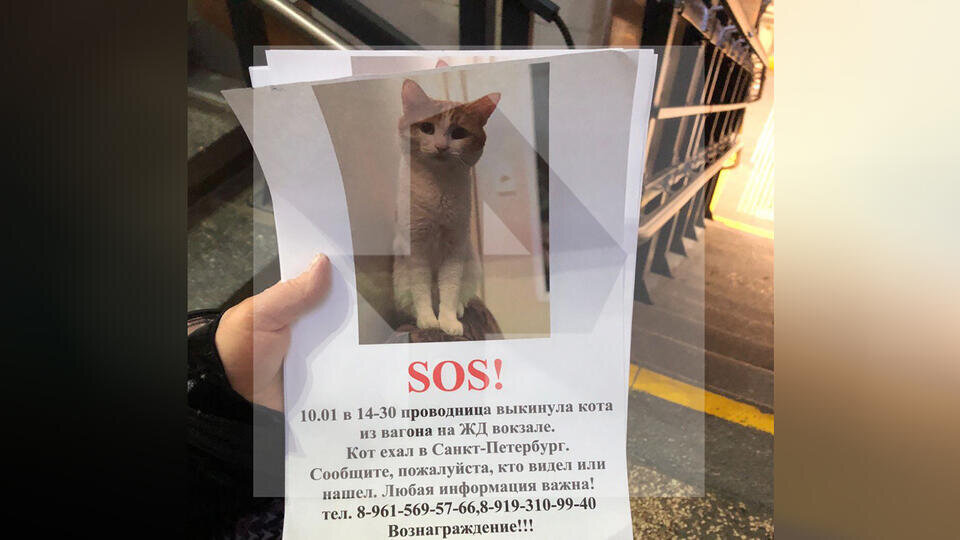 Я не хочу работать 20