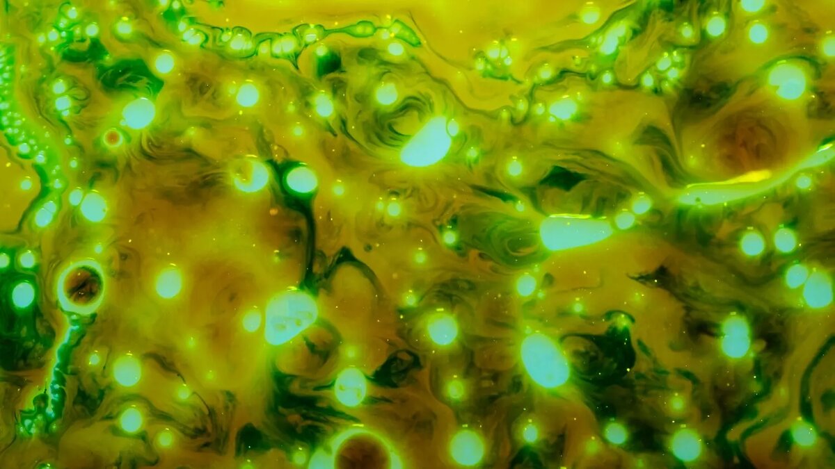     ЛУКОЙЛ проводит исследования по поглощению углекислого газа водорослями с последующим изготовлением из них топлива