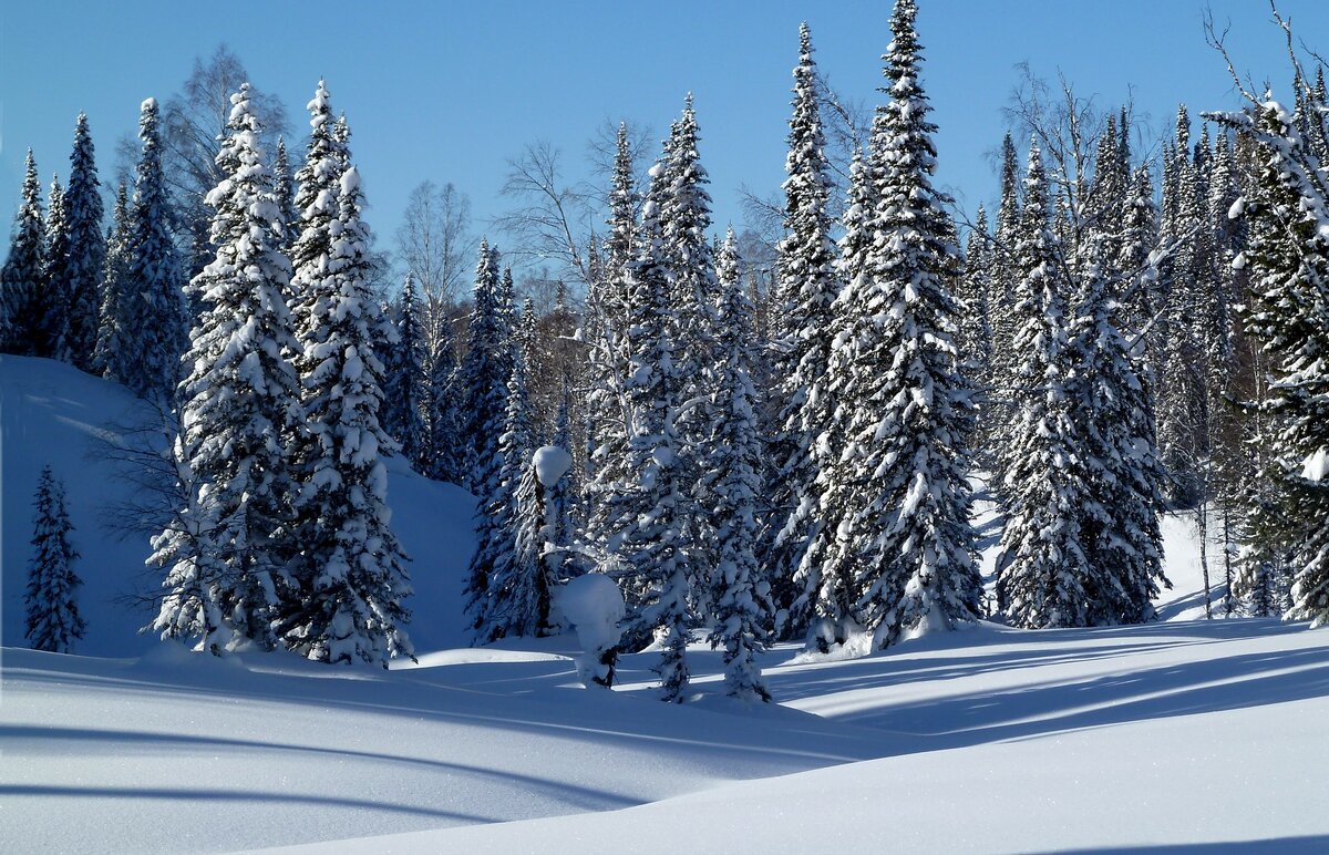 Фото заповедника. Кемеровская область