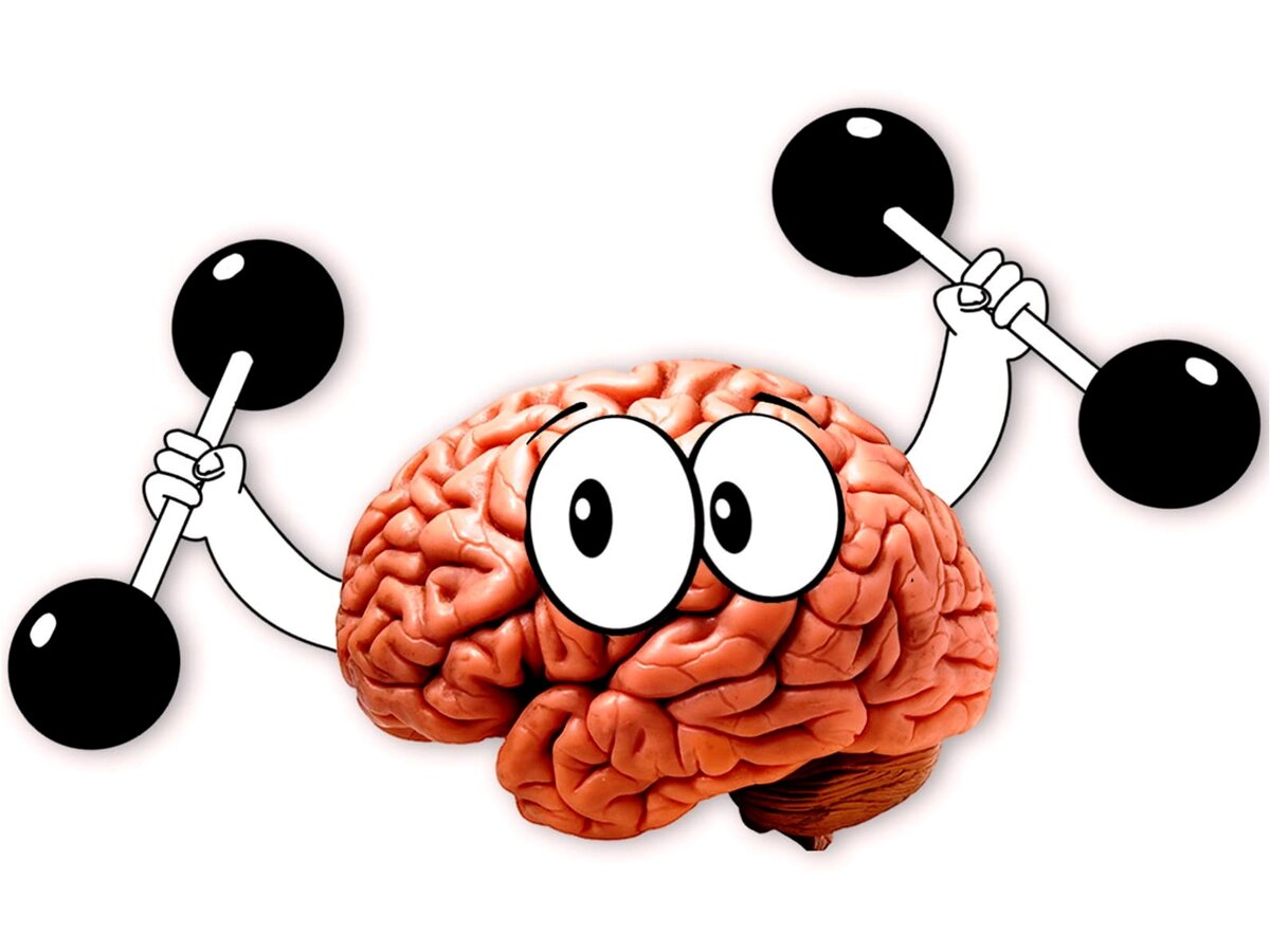 Тренировка мозга. Мозг тренируется. Тренируй мозг. Зарядка для мозга.