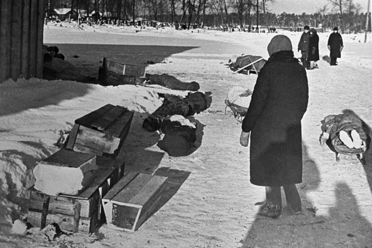 Крюково 1941 год