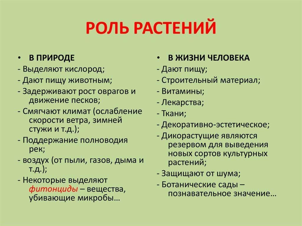 Какое значение растений в природе кратко