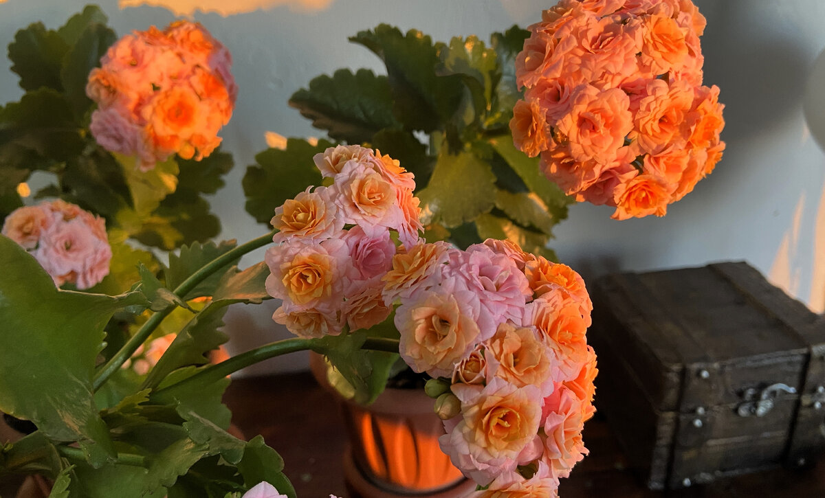 Январь 2024 г