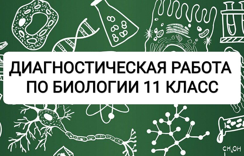 Входная диагностическая работа по истории 11 класс