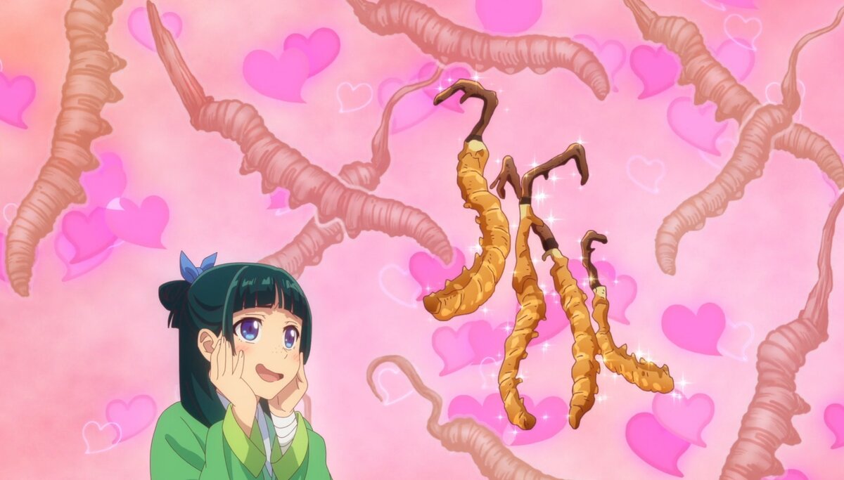 Монолог фармацевта дата выхода 15. Монолог фармацевта дата выхода 15. Монолог фармацевта манга. Монолог фармацевта дата выхода 15. Kusuriya no hitorigoto.