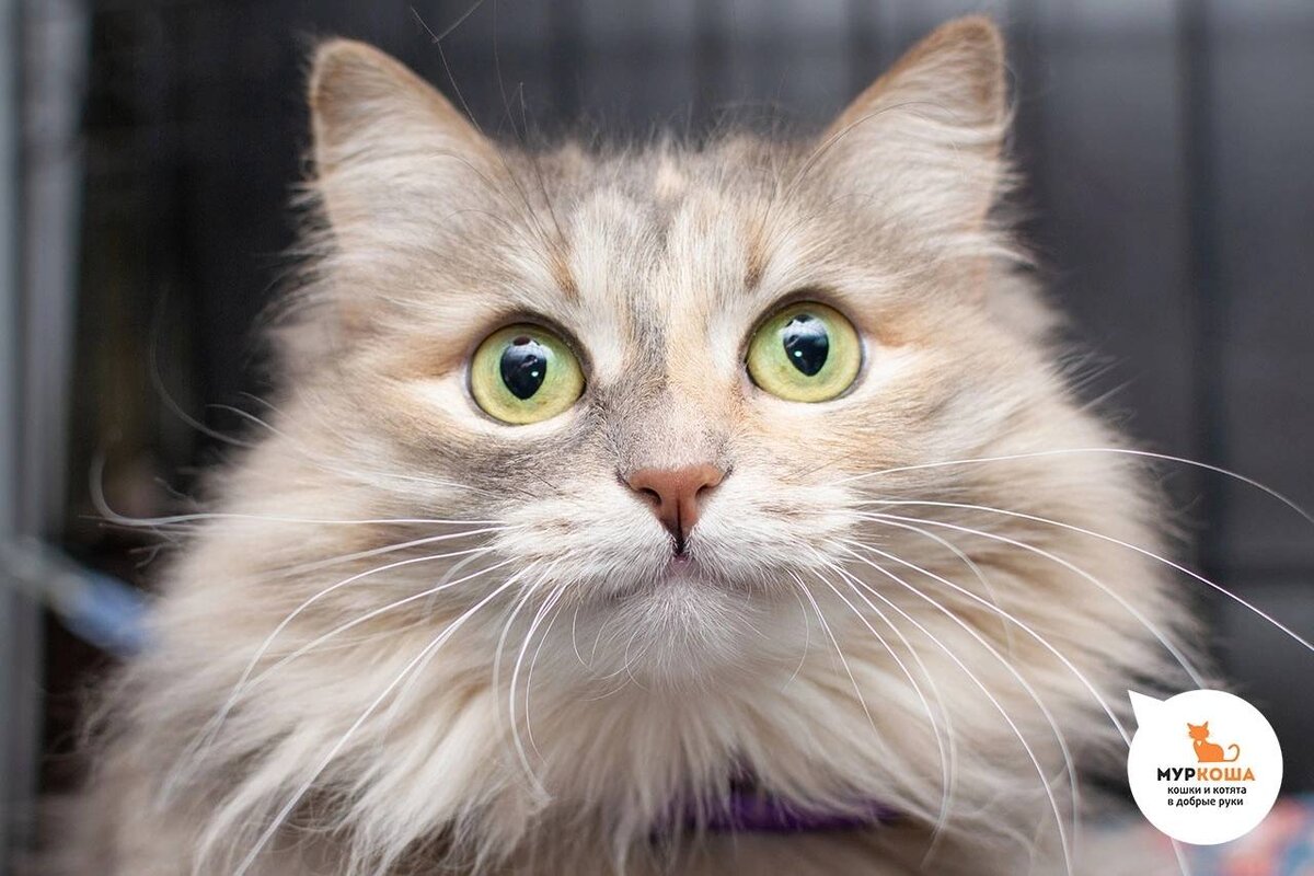 🚺 Малуша, 3 года. ❤️