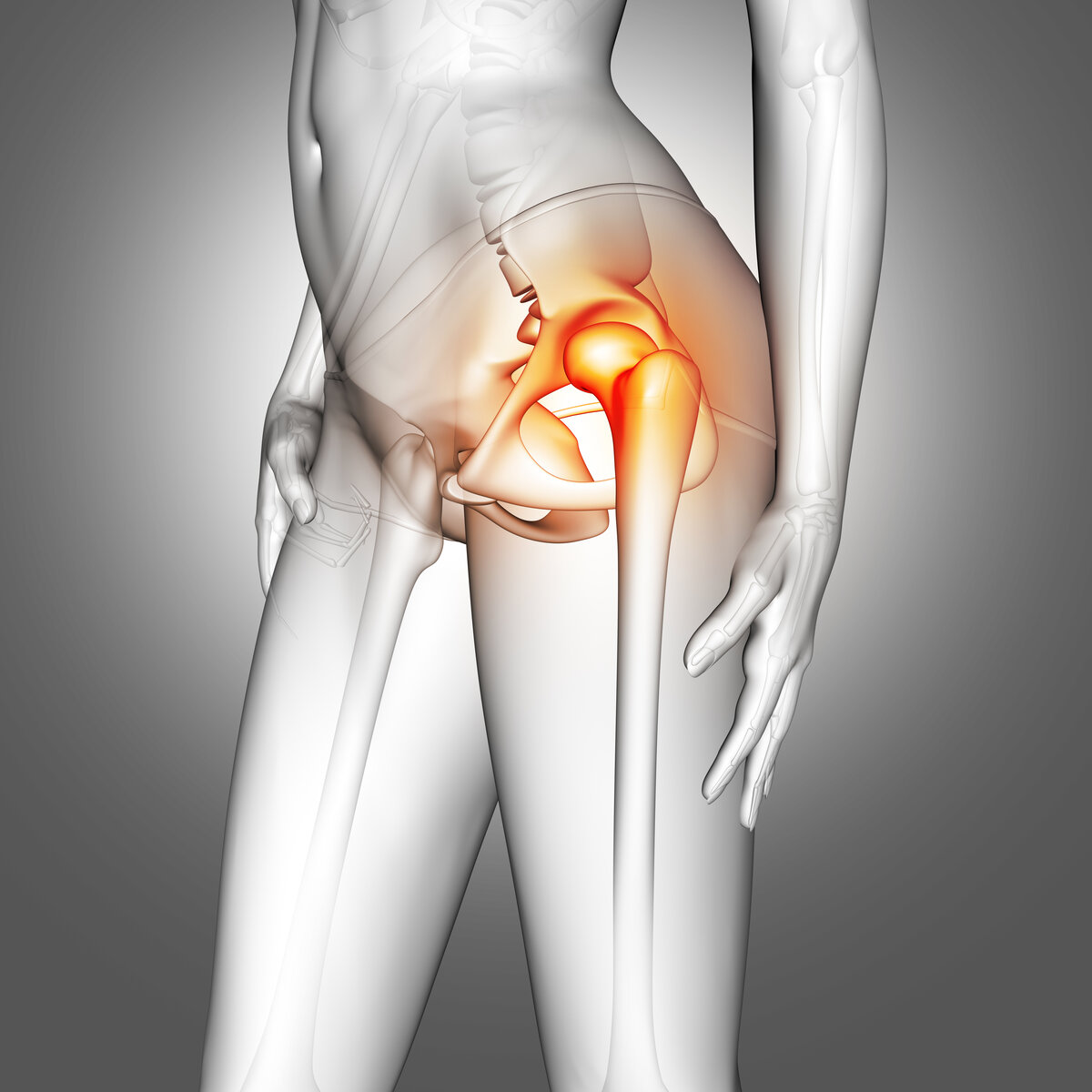 <a href="https://ru.freepik.com/free-vector/hip-bones-in-human-body_22725555.htm#page=2&query=%D1%82%D0%B0%D0%B7%D0%BE%D0%B1%D0%B5%D0%B4%D1%80%D0%B5%D0%BD%D0%BD%D1%8B%D0%B9%20%D1%81%D1%83%D1%81%D1%82%D0%B0%D0%B2&position=17&from_view=search&track=ais&uuid=3abc4b8d-5c90-4697-952b-67fa2a14d235">Изображение от brgfx</a> на Freepik