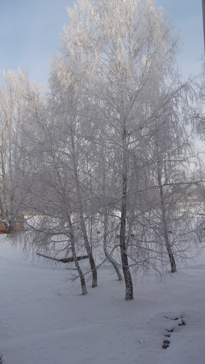 ЛИЧНОЕ ФОТО