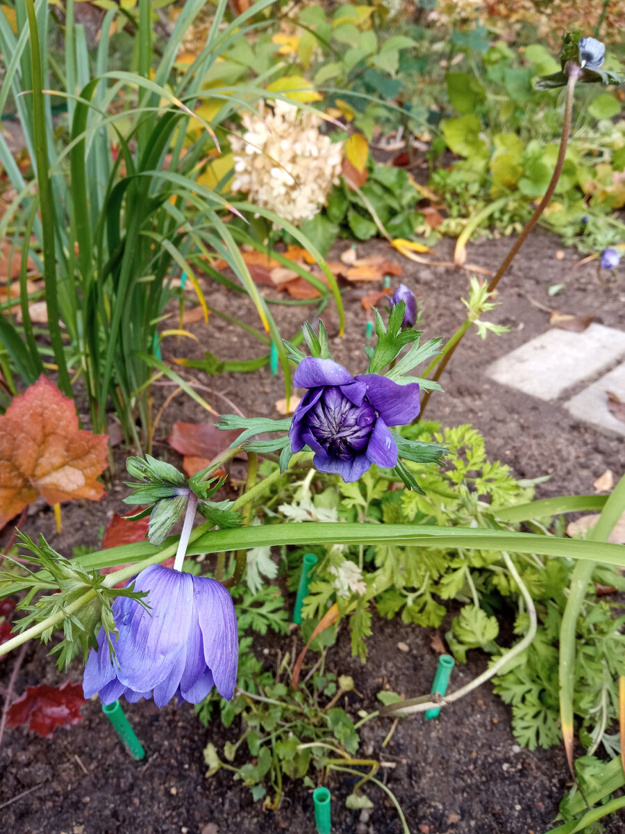 Можно ли сохранить рилс. Размер рилс в инстаграм. Удаленные рилс как восстановить. Можно ли сохранить рилс. Как создать рилс.