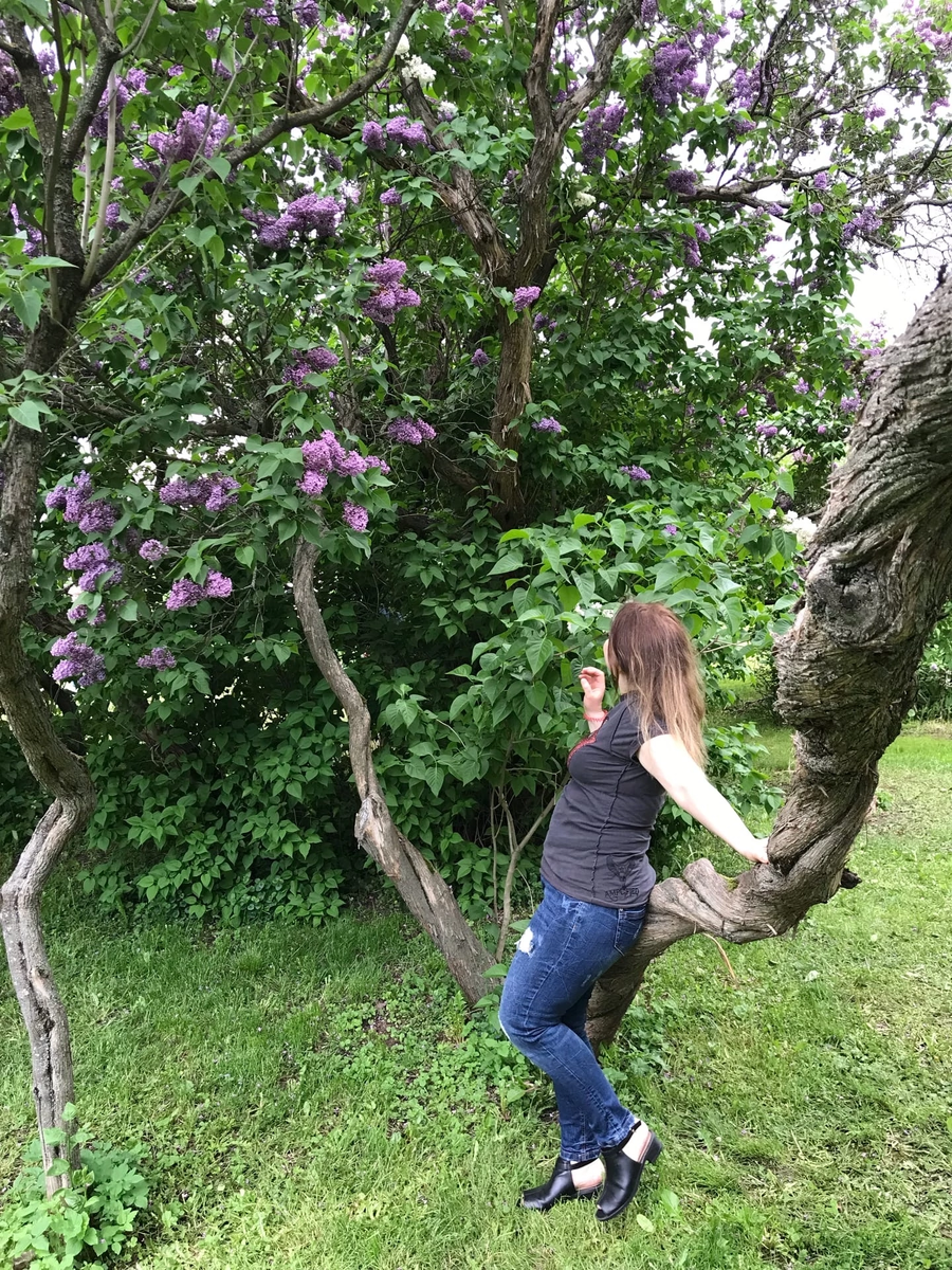 Москва, Сиреневый сад