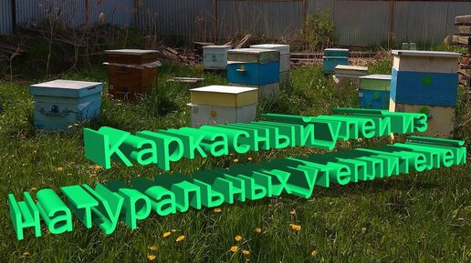 Профессор Кашковский: Каркасные улья с натуральным утеплителем