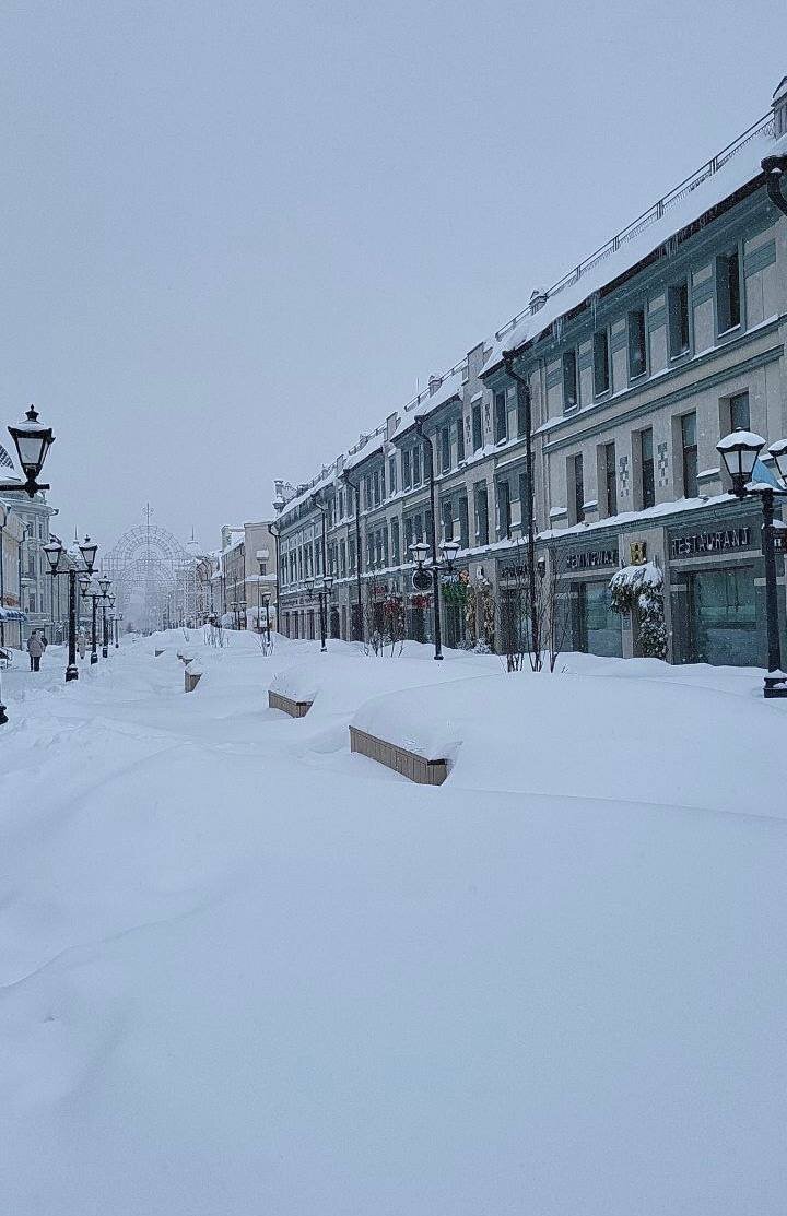 Центральная улица Баумана