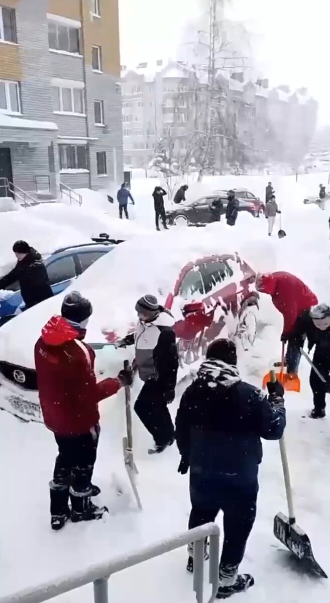 Где моя лопата?