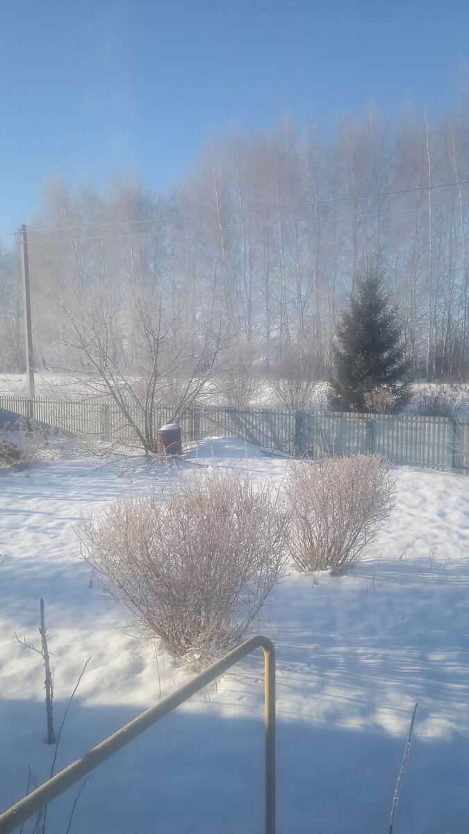 Это двор из окна нашего дома