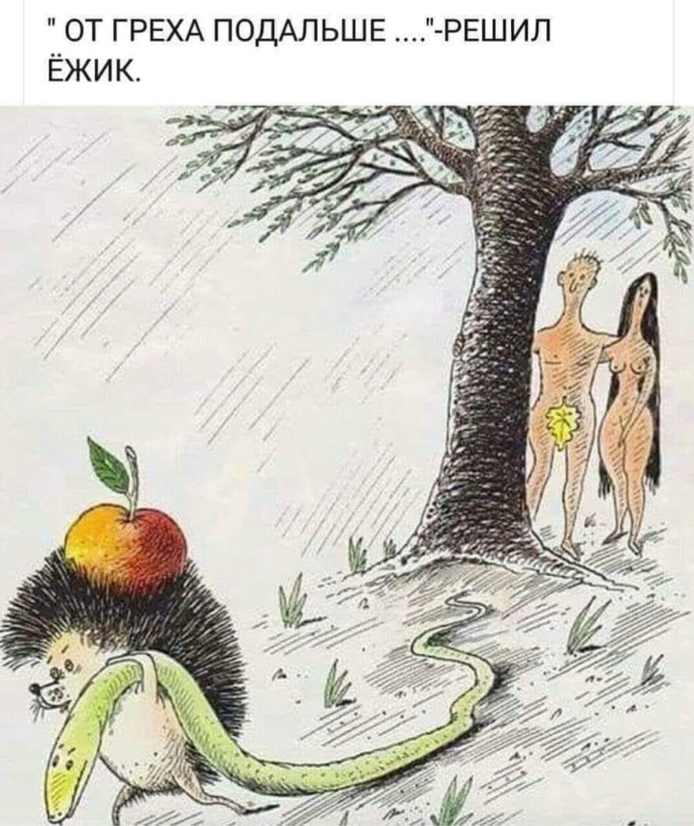 Яндекс картинки