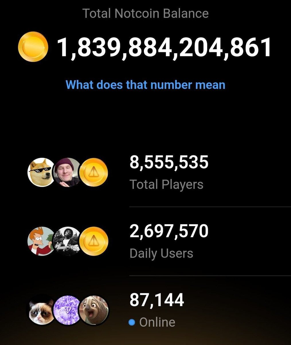 Статистика Notcoin 12 января