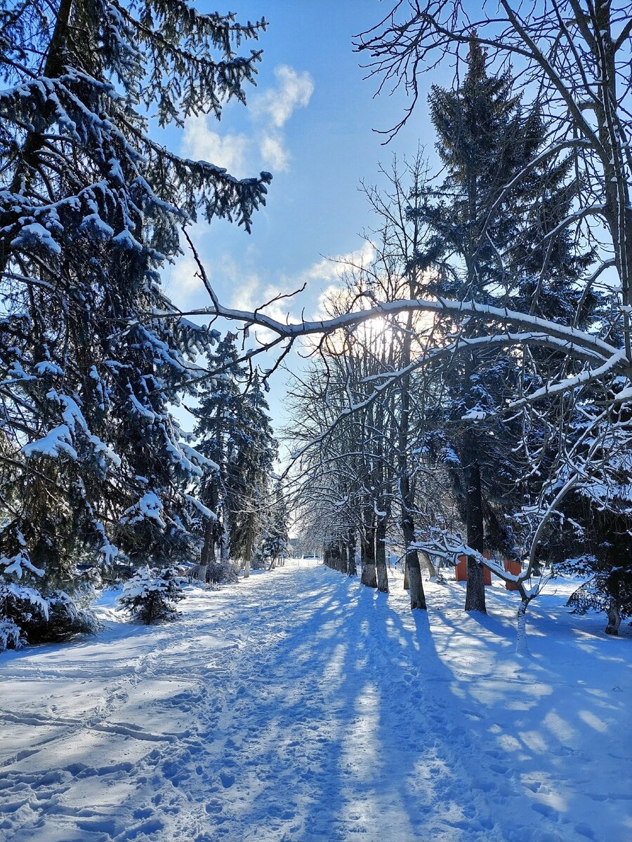 Фото автора