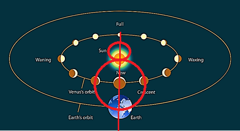 Во взаимно-центрическом вращении Солнца и Земли, обозначенном красной окружностью, отдельное от линии "Солнце-Земля" движение Венеры вокруг Солнца выглядит нереальным.