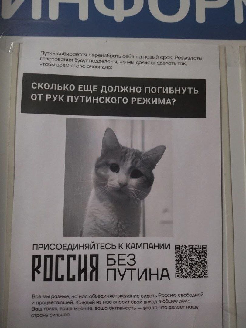 Агитация наших либералов! Или уже не наших?