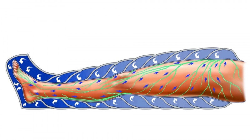 Движение лимфы по нижним конечностям