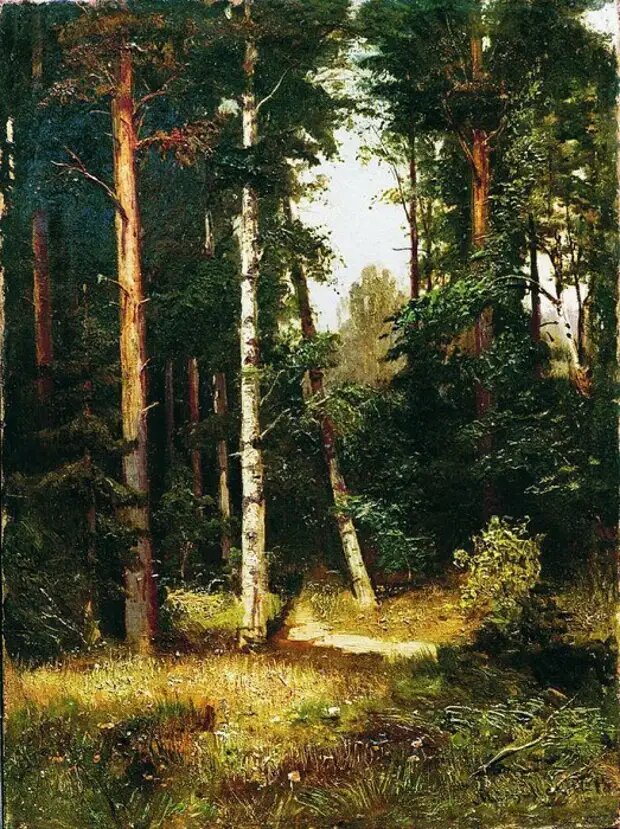 Тропинка в лесу