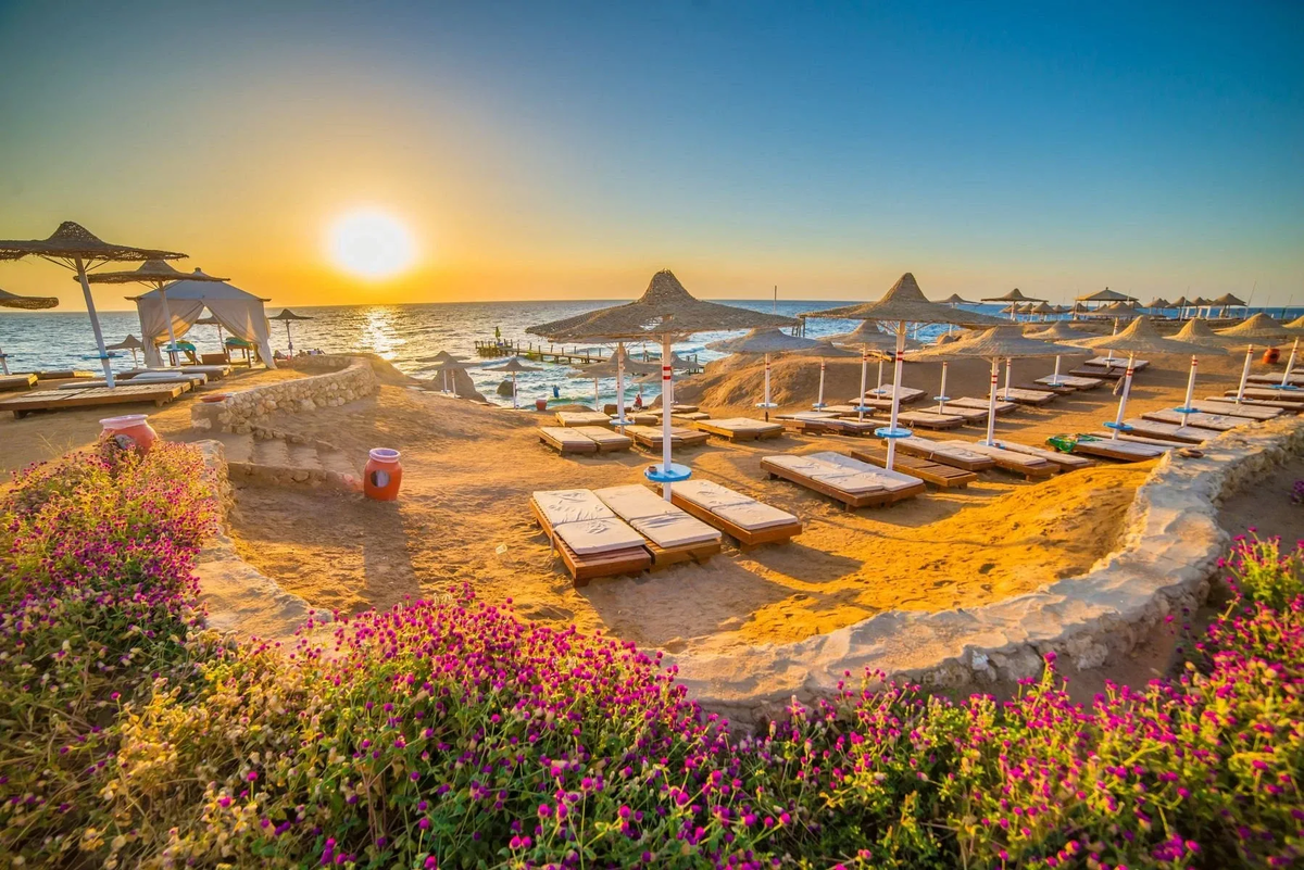 Отель nubia aqua beach resort 5 египет хургада. Sharm plaza 5 египет. Туроператор в египет из минеральных вод. Альбатрос рояль гранд шарм-эль-шейх. Горящий тур в египет.