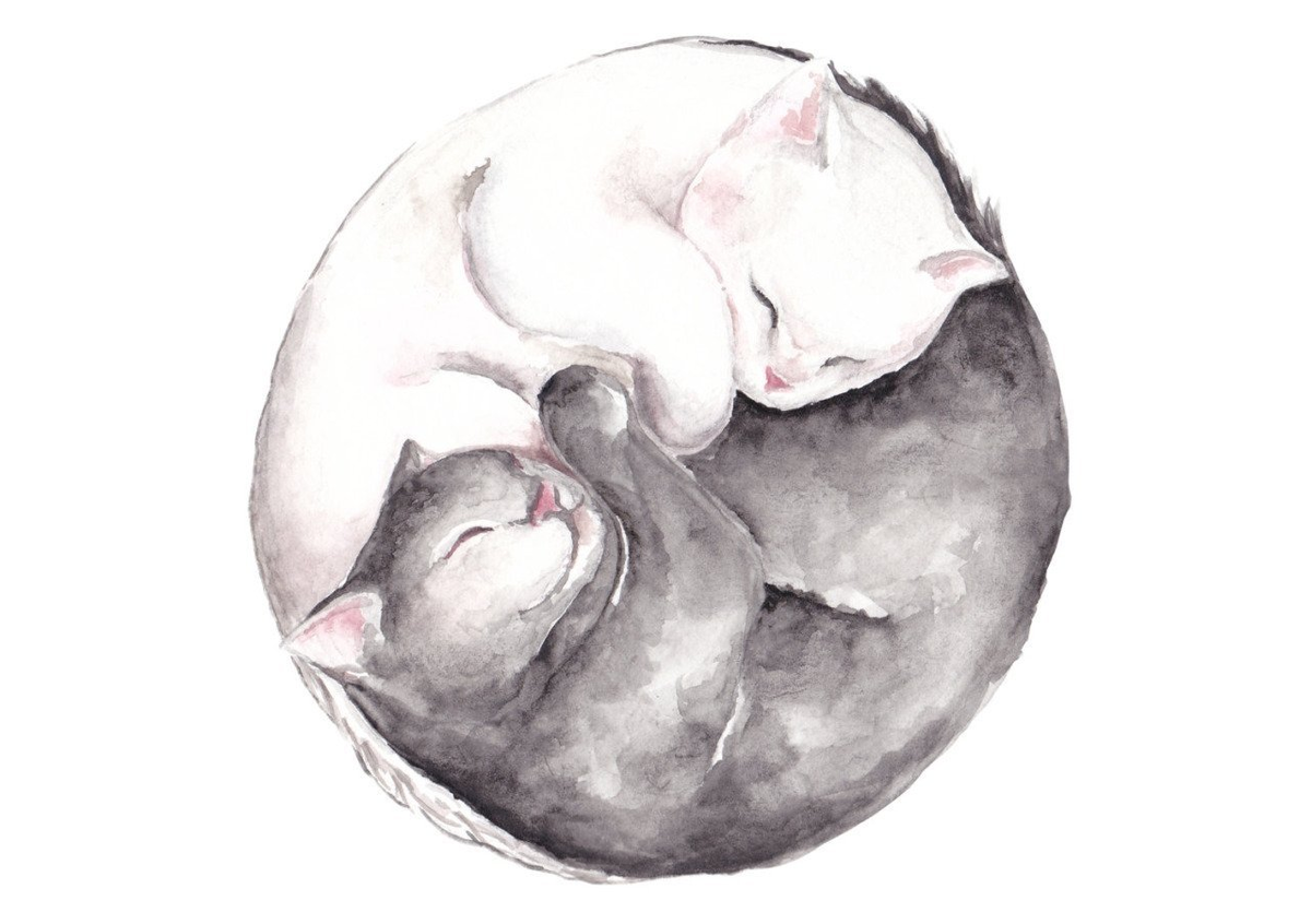 яндекс.картинки