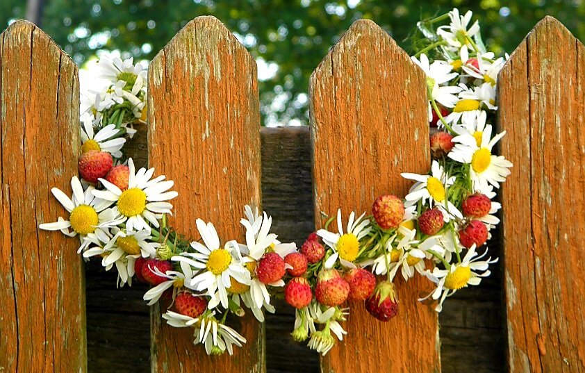 Фото автора. Ностальгия... 