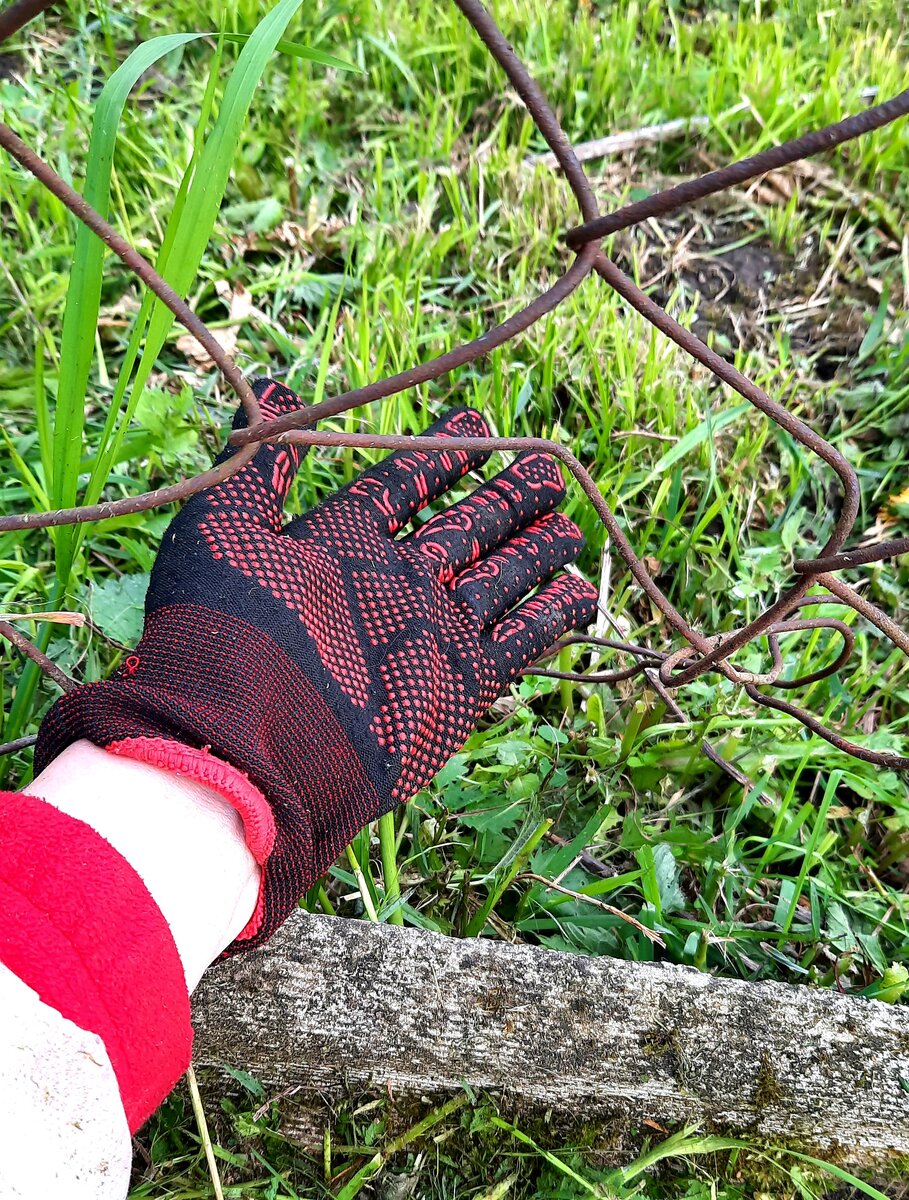 Фото автора. Коррозия настигла и нас.