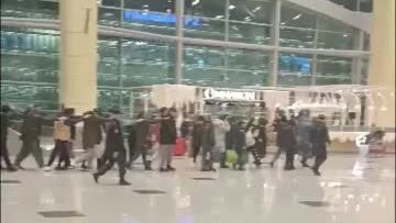 домодедово аэропорт телефон справочной службы круглосуточно. стойки s7. с7 стойки домодедово. почта аэропорт домодедово. аэропорт домодедово внутри.