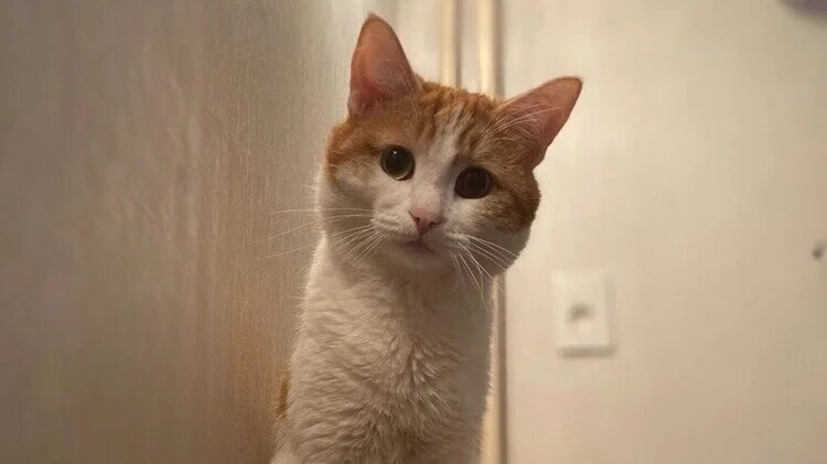 Поставь лайк и подпишись на канал, чтобы быть в курсе всех новостей