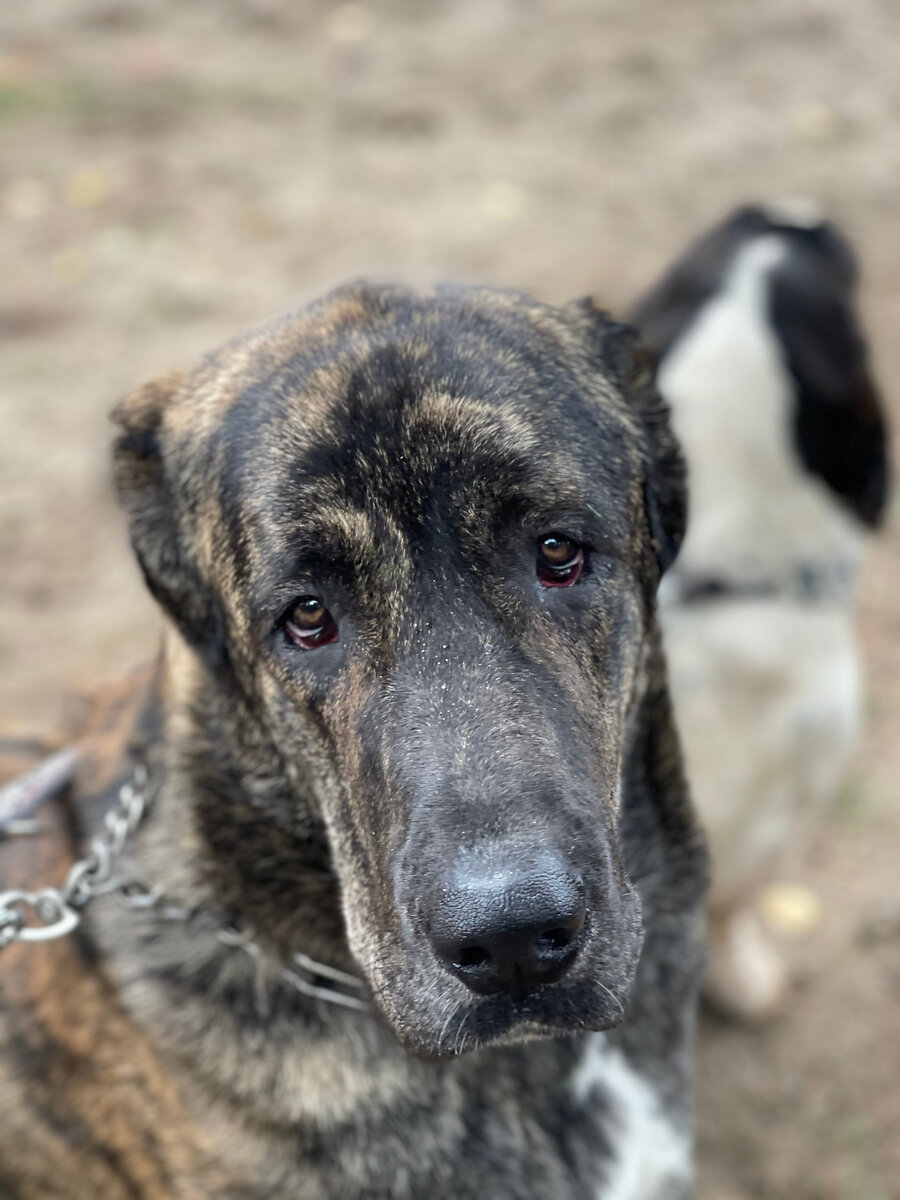 Одно на уме значение. У парней только одно на уме и это просто отвратительно. Синоним к слову эгоист. Читать про себя. Одно на уме значение.