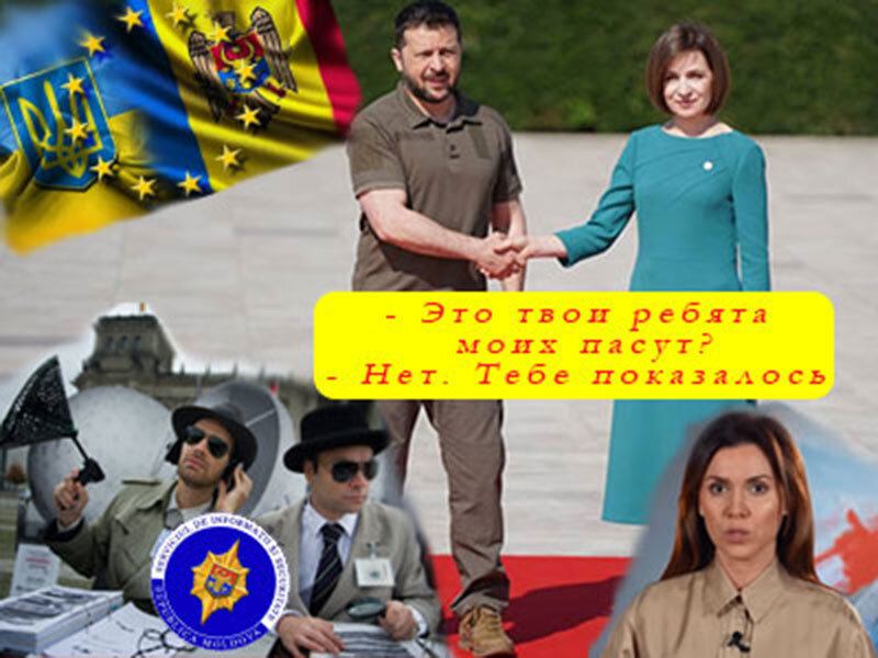 Подписывайтесь на наш канал "Нарполит" и не упустите свежие политические тренды!