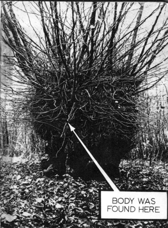 Картинка с яндекс картинки