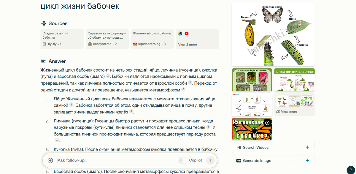 Как искать слово на сайте. Как искать информацию в интернете. Поиск на странице в браузере. Как найти нужный текст в интернете. Поиск и замена в ворде.