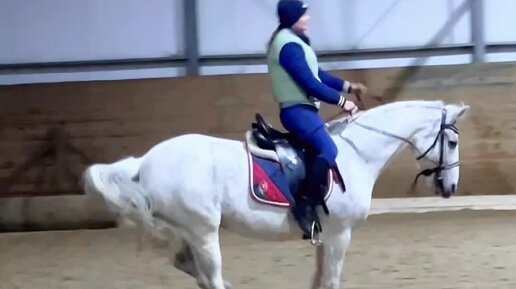 Хобби хорс выкройка лошадки. Лошадка на палочке выкройка. Как сделать лошадь быстрее. Хоббихорс. Бумажные лошади.