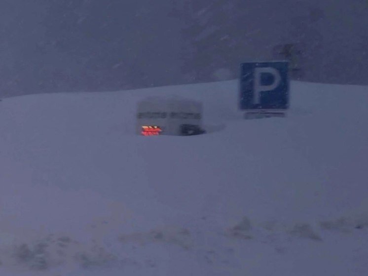 Слова род имен существительных. Коррективы род. Коррективы род. Коррективы род. Коррективы род.