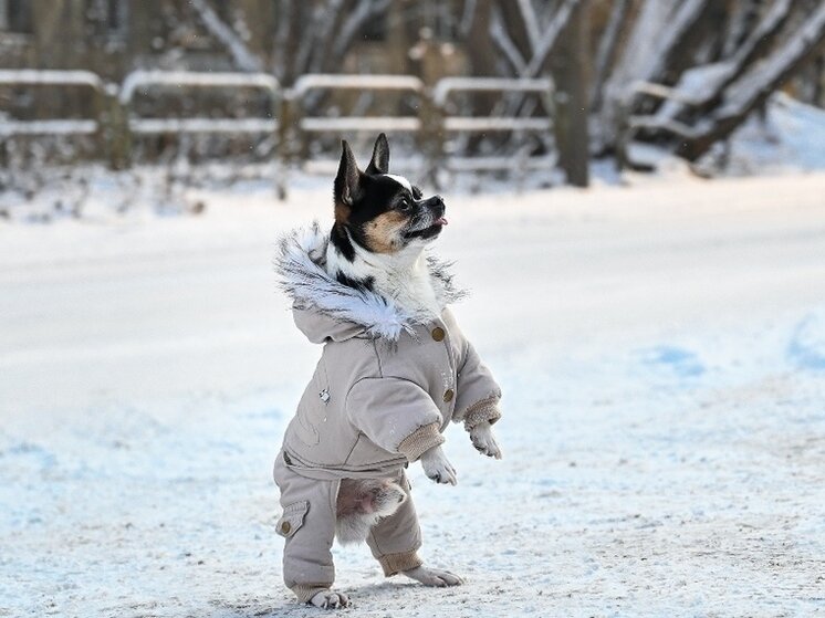 Погода на июнь 2022. Погода в москве на неделю. Прогноз погоды в каслях. Прогноз погоды в мурманске. Каслинский собор.