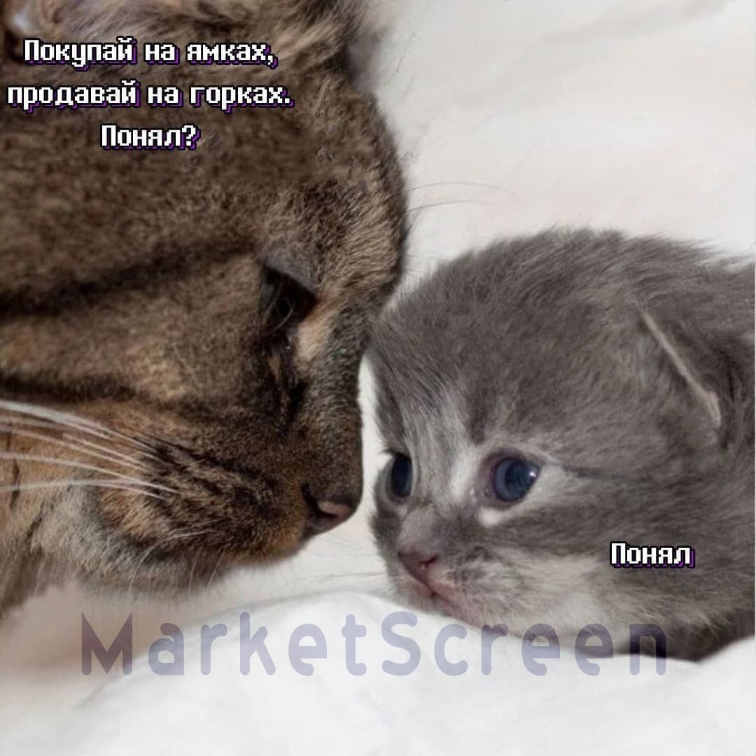 Сегодня в выпуске:  — Милей ходит по тонкому льду — Подробности про нашу с вами инфляцию — Кто делает в мозг среднему американцу? — Трейдерская мудрота Доброе утро, всем привет!-11