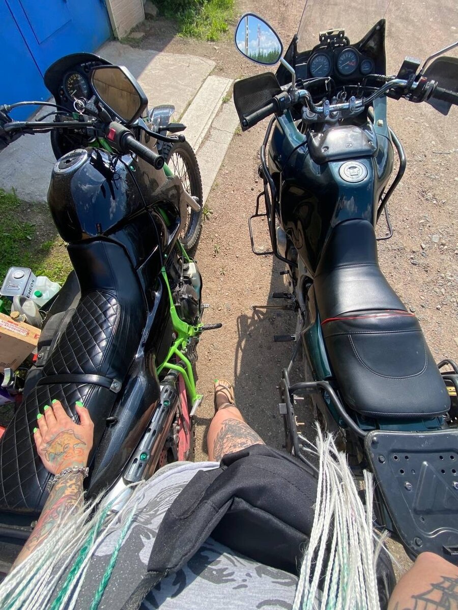 Первые мои коники 