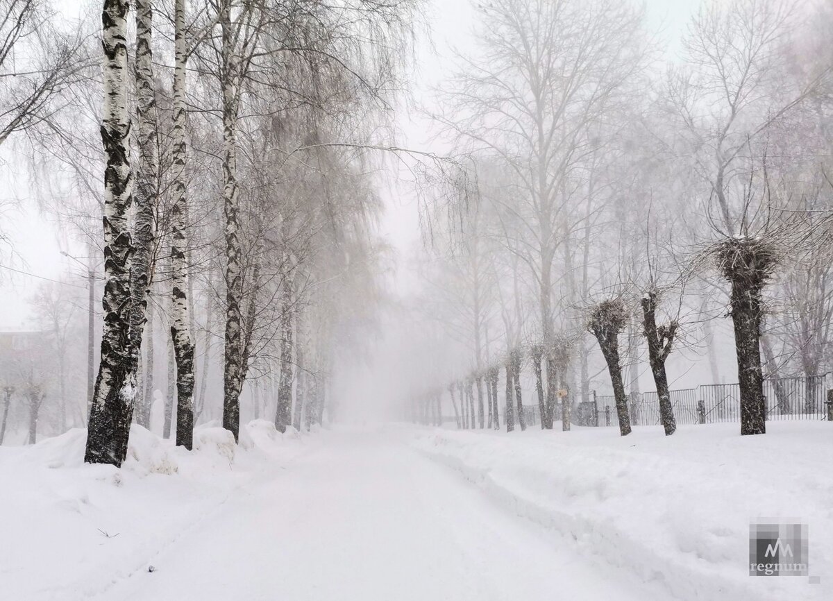    Метель Наталия Николаева © ИА REGNUM