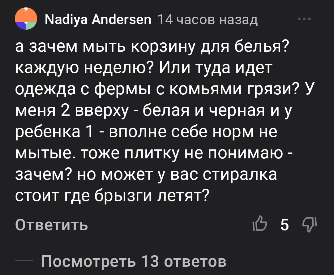 Мне дома посторонние с тряпками не нужны. Всё равно не уберут лучше, чем я  | Алёна Р | Дзен