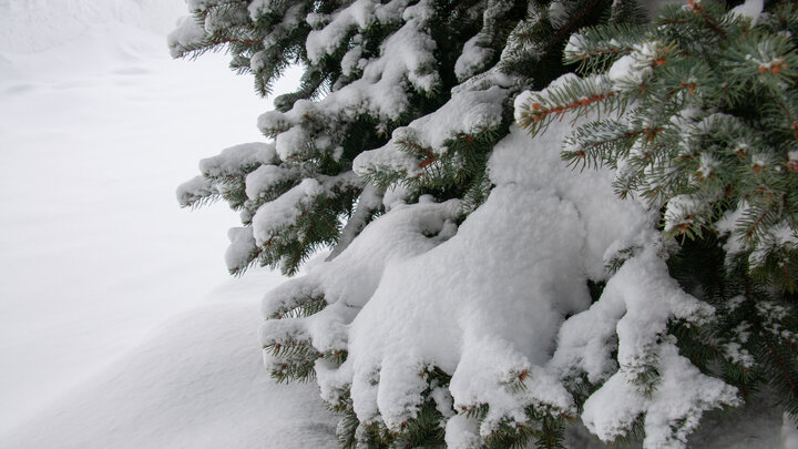 ФОТО: SVETLANA VOZMILOVA/GLOBALLOOKPRESS