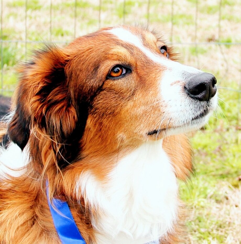 Приложение скрещивает людей. Приложение скрещивает людей. Приложение скрещивает людей. Поза человека женщина. Скрещивание фотографий лиц онлайн.