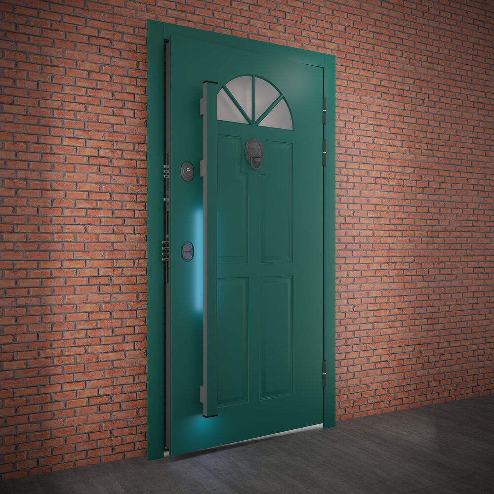 дверь наружная уличная. дверь наружная уличная. входные двери тренд 2021. вход в дверь. входная дверь в частный дом.