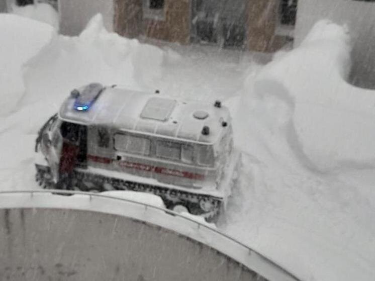 нетсити южно сахалинск 11111