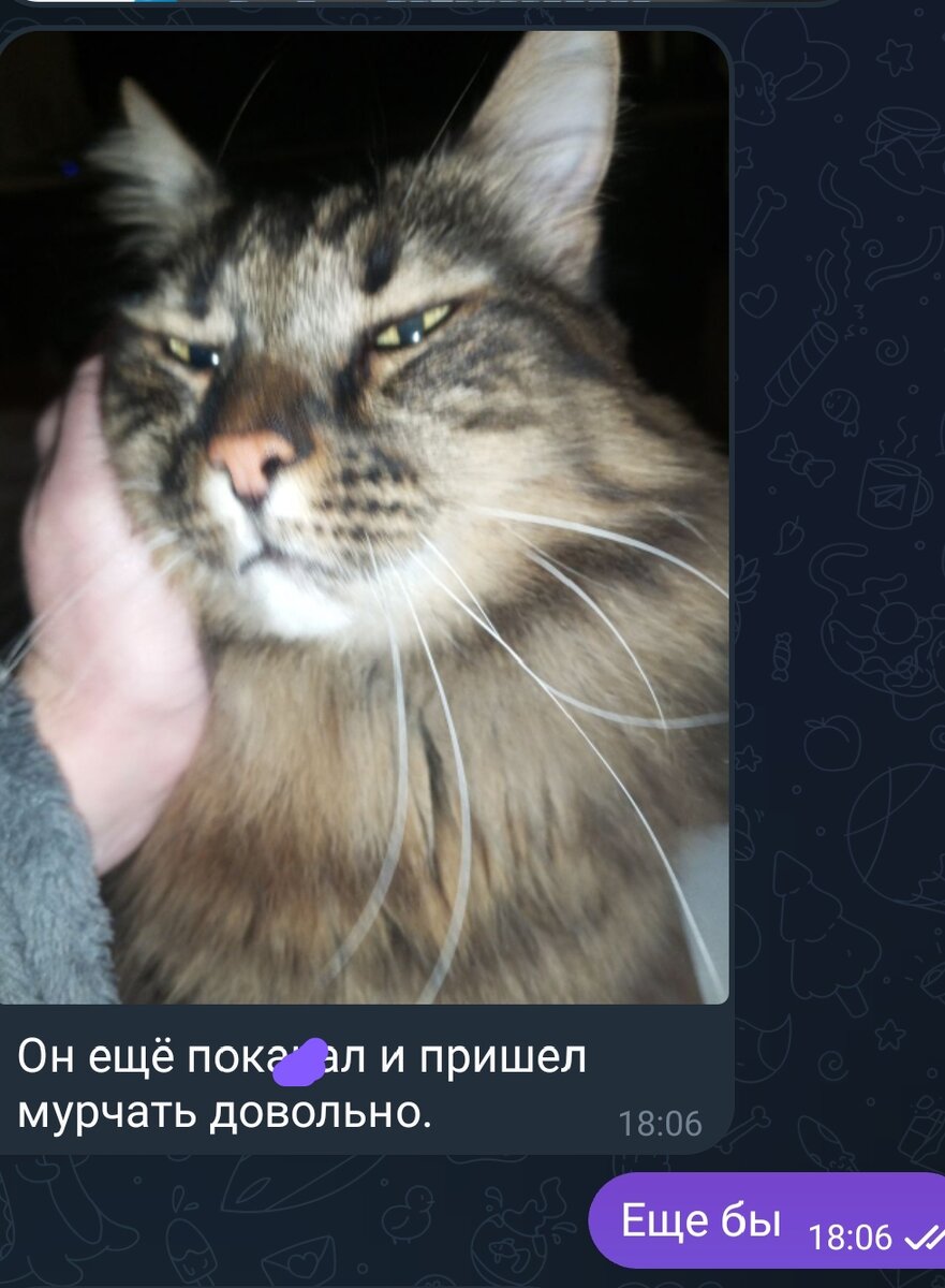 Думаю, вы поняли что я там замазал😉
