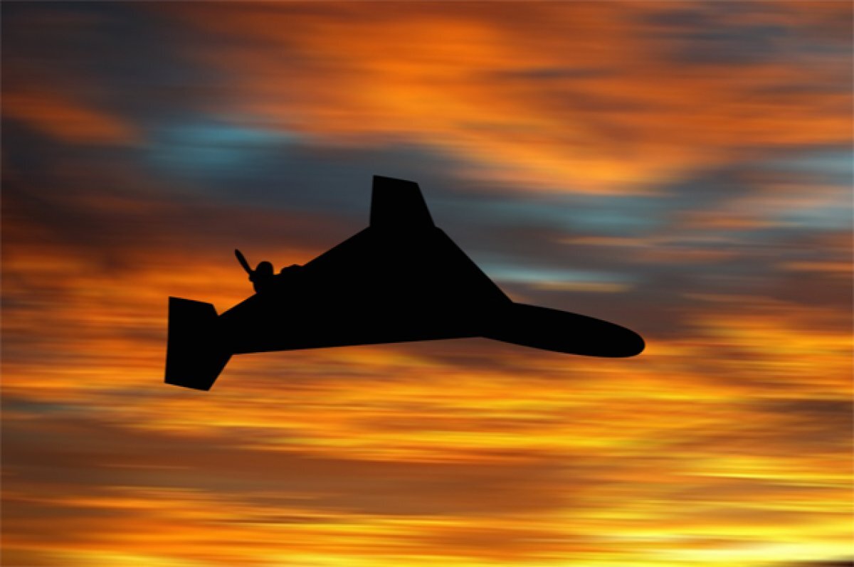    Украинская РЭБ «мышей» не ловит.