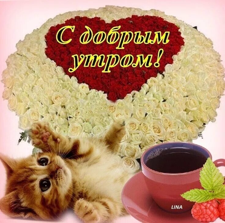 Доброе утро открытка ок. С добрым утром. Открытки доброе утро. Открытки с добрым утречком. Красивые поздравления с добрым утром