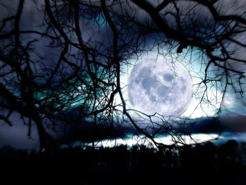 Полнолуние в январе 2024 года: точная дата и что важно знать | ЯСНО | Дзен